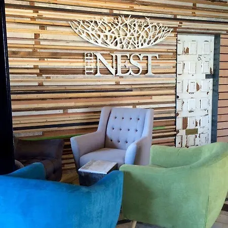 The Nest Boutique * غالواي